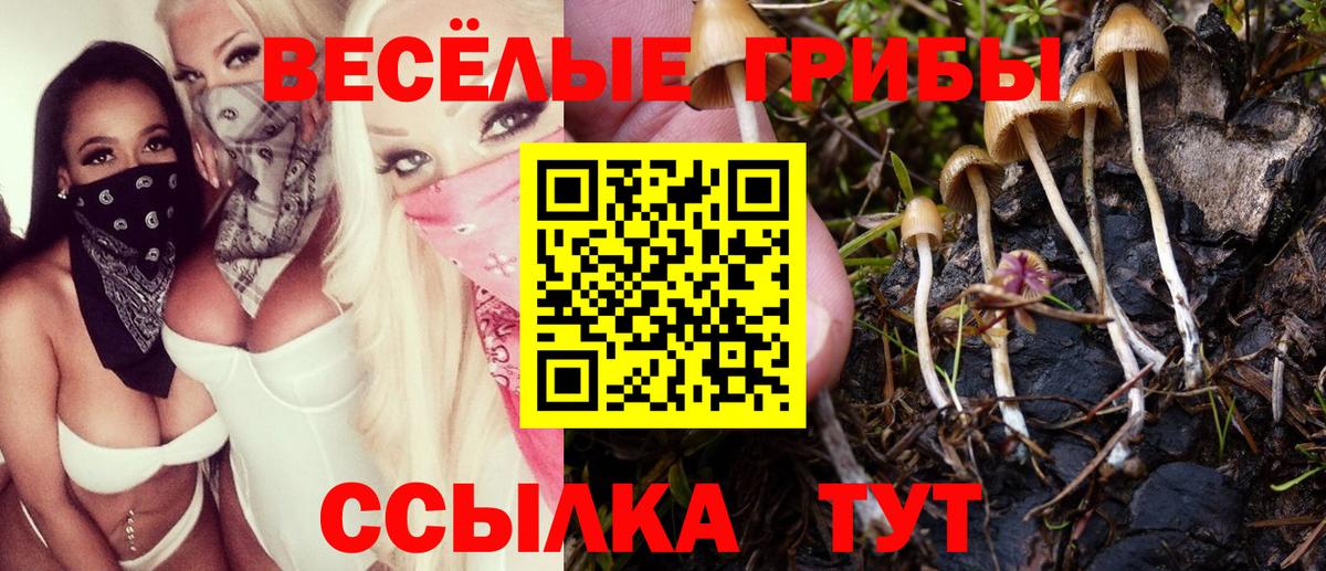 Галлюциногенные грибы ЛСД Калач-на-Дону