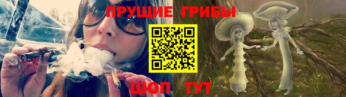 купить закладку  Вход с VPN  Псилоцибиновые грибы Psilocybe  Калач-на-Дону  Псилоцибиновые грибы прущие грибы 